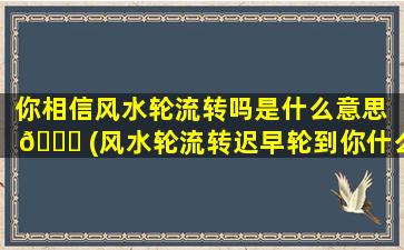 你相信风水轮流转吗是什么意思 🐋 (风水轮流转迟早轮到你什么意思)
